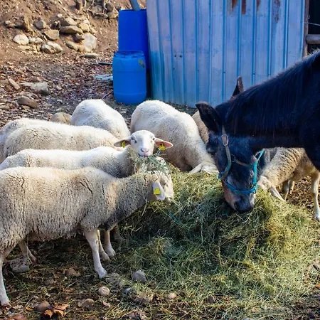 Mas El Cornut Lägenhet